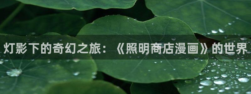 羞羞漫画网页阅读免费入口：灯影下的奇幻之旅：《照明商店漫画》的世界