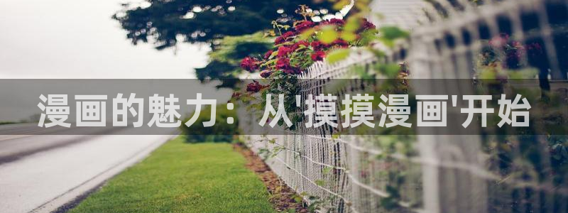 成人在线羞羞漫画：漫画的魅力：从\'摸摸漫画\'开始